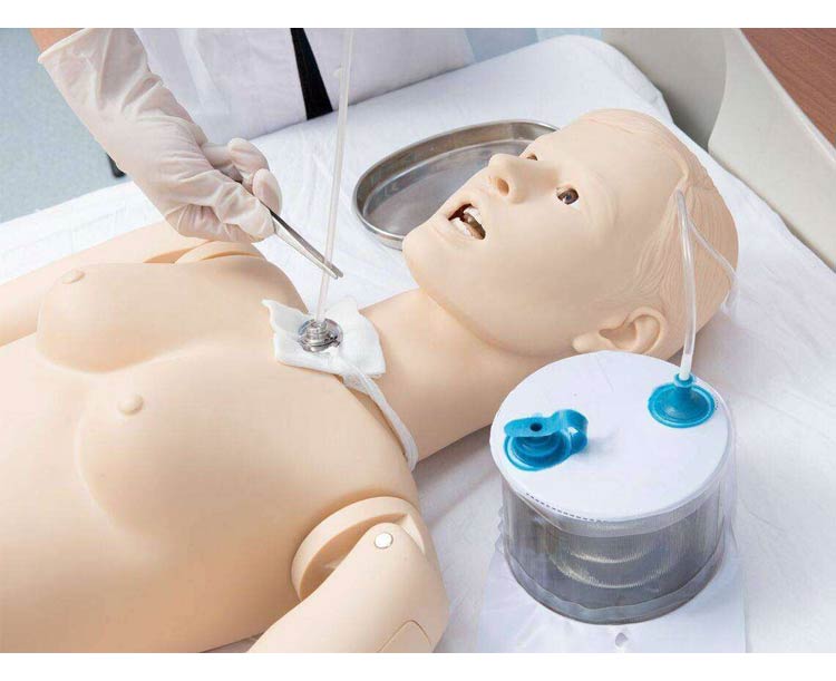 Anatomical World Wide Anatomy Lab All-purpose Patient Care Simulator