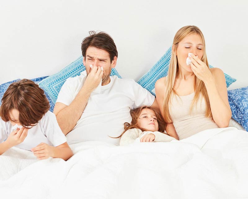 Allergies, Bedding