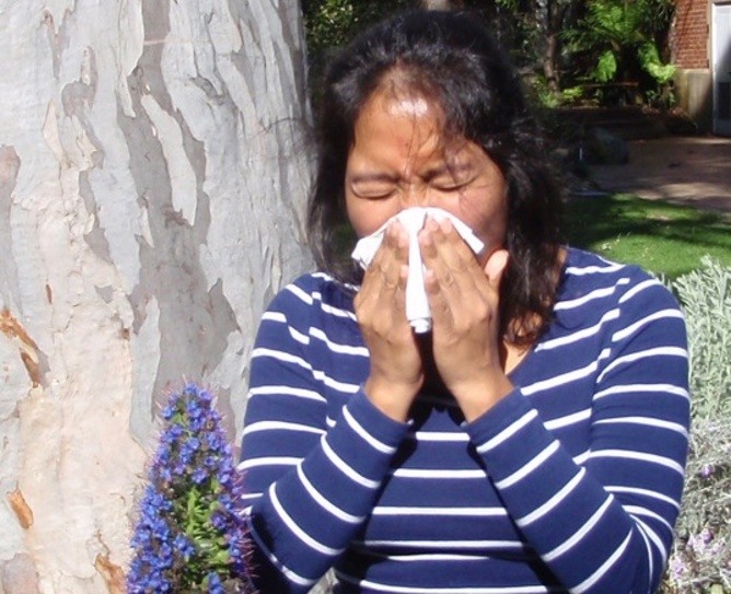 Allergy Season, Sneezing, Coughing and Incontinence