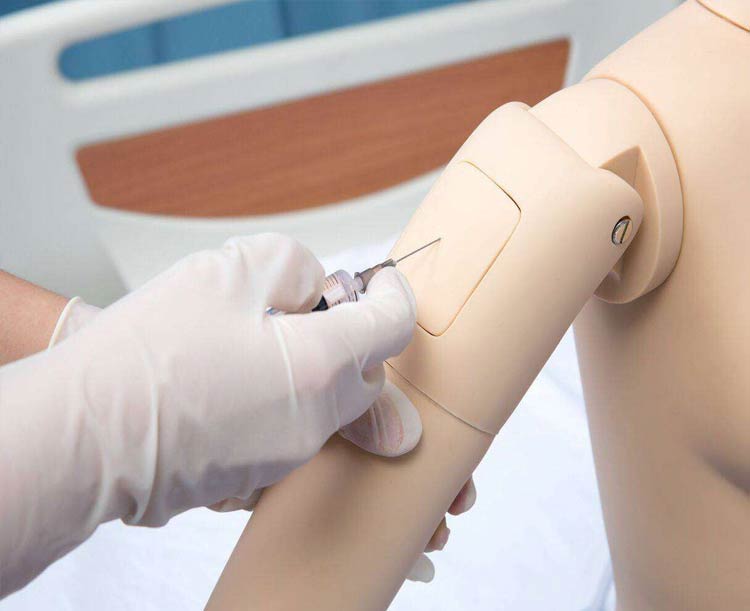 Anatomy Lab All-purpose Patient Care Simulator