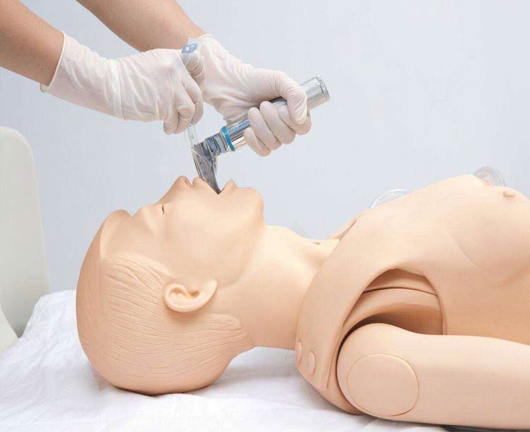 Anatomy Lab All-purpose Patient Care Simulator