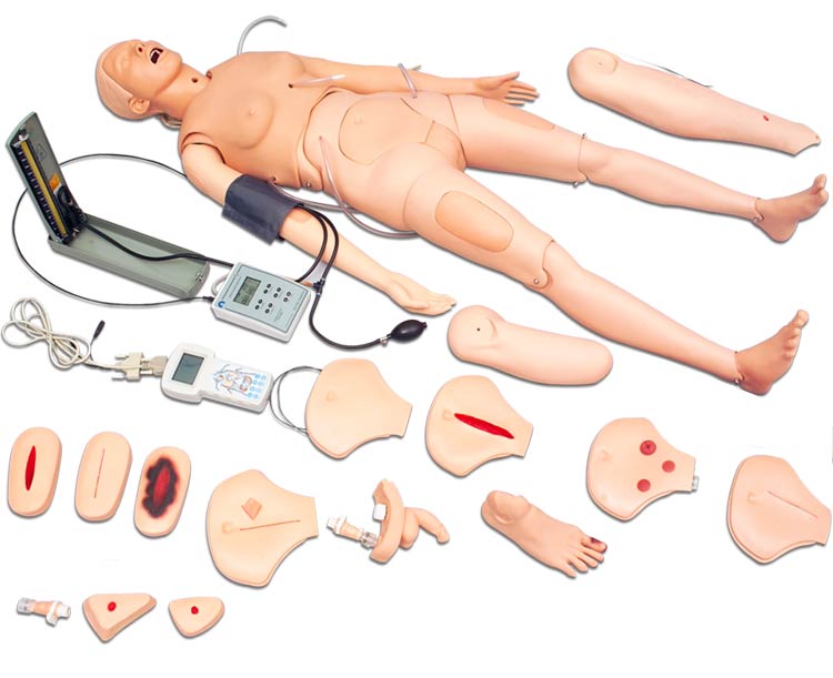 Anatomical World Wide Anatomy Lab Venus Nursing Patient Care Manikin