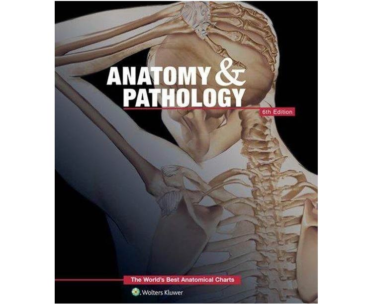 Anatomical World Wide Anatomy and Pathology: The Worlds Best Anatomical Charts