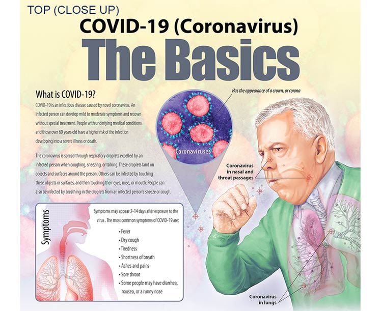 The Basics of COVID-19 (Coronavirus) Poster, Laminated
