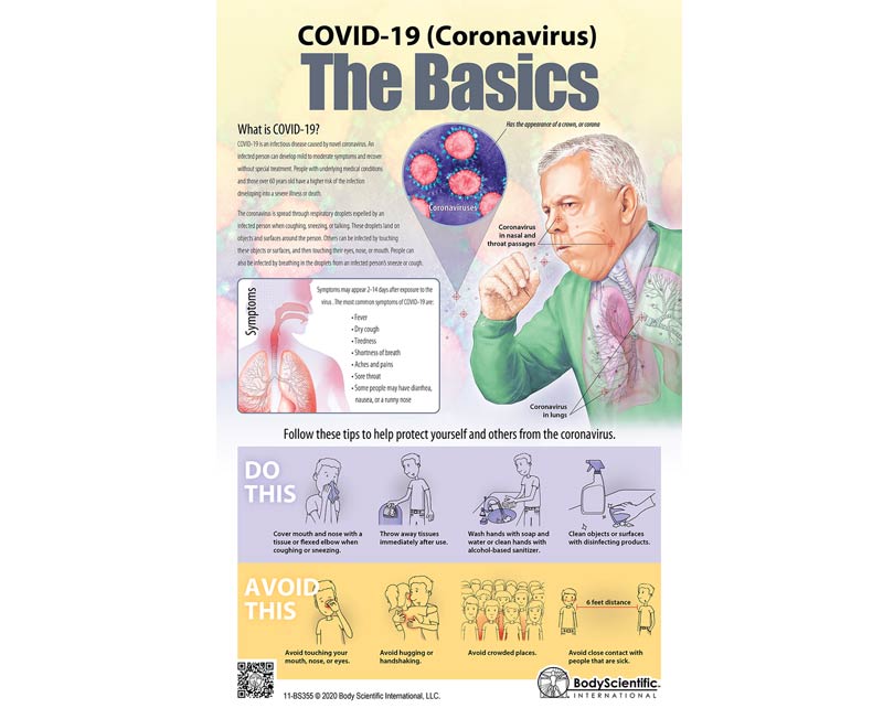 Body Scientific International The Basics of COVID-19 (Coronavirus) Poster, Laminated