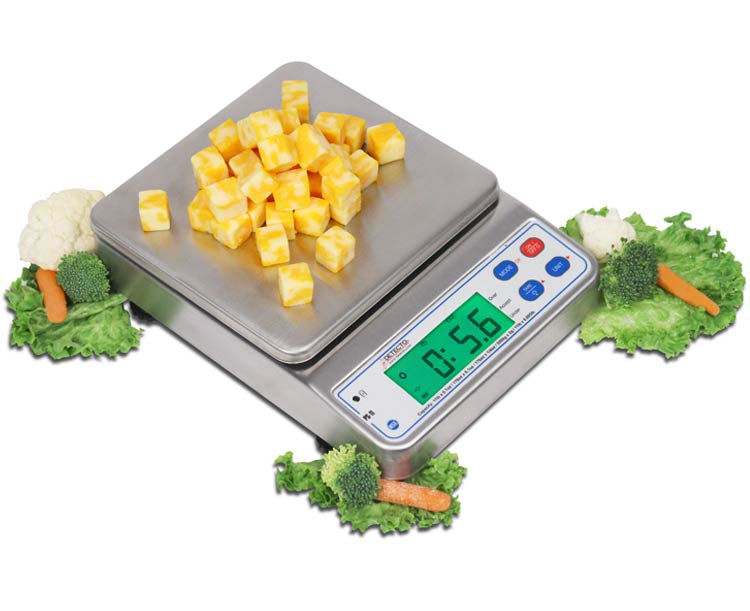 Detecto Stainless Steel Digital Portion Scale, Up to 11 lbs