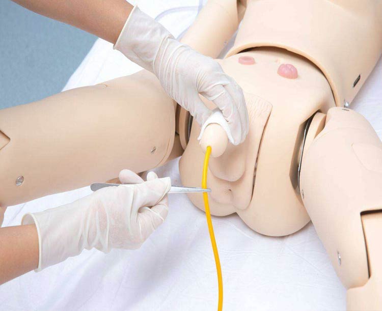 Anatomy Lab All-purpose Patient Care Simulator