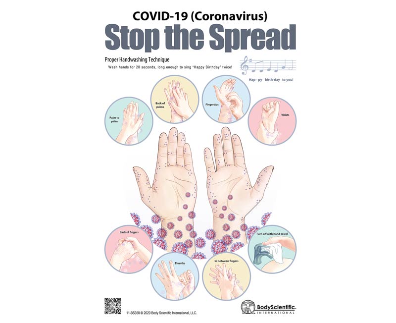 Body Scientific International Stop the Spread of COVID-19 (Coronavirus) Poster, Laminated