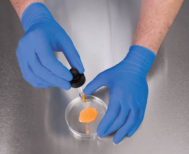 Versafit Nitrile-Enhanced Synthetic Vinyl Medical Gloves